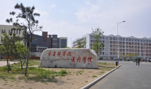 锦州医科大学医疗学院在河南省历年录取情况汇总（最高分最低分平均分）