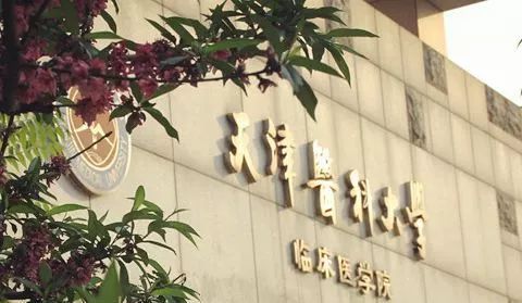 天津医科大学临床医学院在河南省历年录取情况汇总