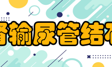 肾及输尿管结石疾病诊断