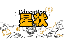 星状网基本特点