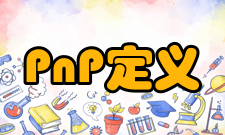 PnP定义
