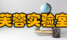 芙蓉实验室建设成就