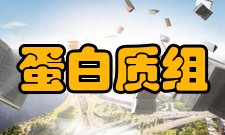 蛋白质组研究研究内容