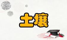 土壤与农业可持续发展