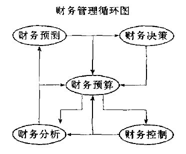 财务管理循环应用特点