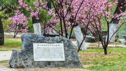 北京大学国际交流