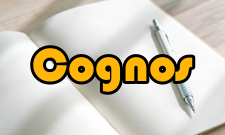 Cognos技术优势