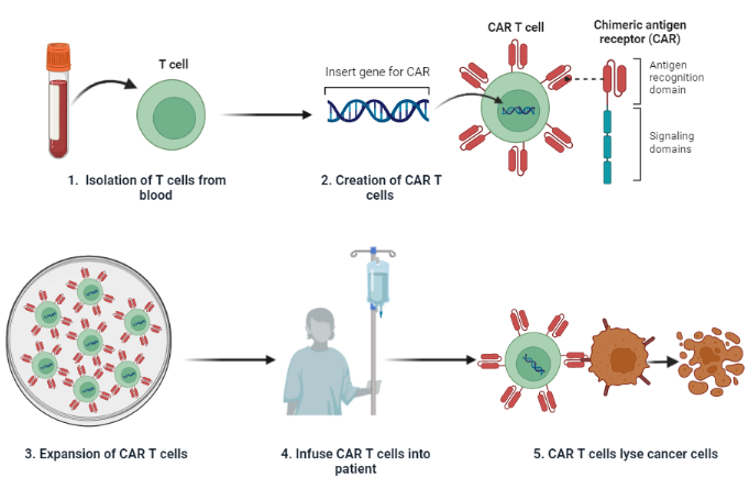 我院韩泽广团队发表靶向DLK1的嵌合抗原受体T细胞对肝细胞癌的治疗作用-22-8-26735.png