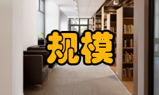 组织规模结构关系