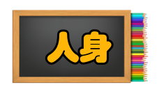 人身安全第四条