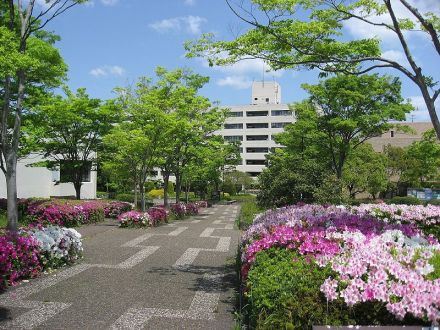 中国大学校学术交流协定