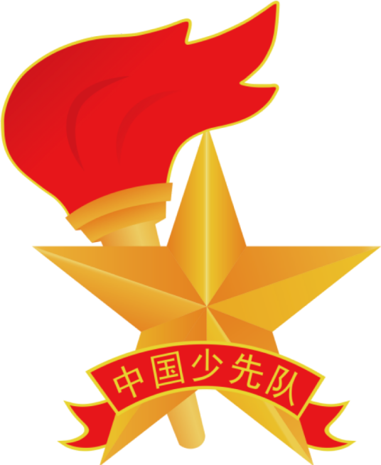 中国少年先锋队工作学会业务范围