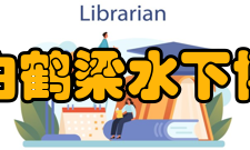 重庆白鹤梁水下博物馆水下保护