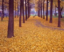 电子科技大学沙河校区周边环境