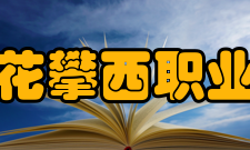 攀枝花攀西职业学院机构设置党政办公室学生处（团委）教务处组织