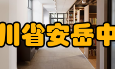 四川省安岳中学王岳川四川省安岳县人