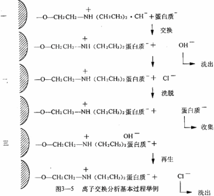 离子交换剂交换功能