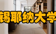 锡耶纳大学本科专业