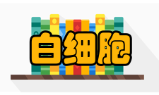 白细胞减少食疗
