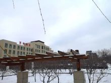 黑龙江幼儿师范高等专科学校教学建设