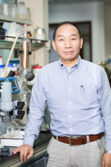 中国科学院院士麻生明人物经历