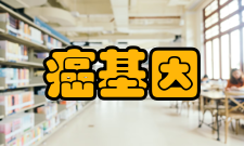 癌基因及相关基因国家重点实验室（上海市肿瘤研究所）交流合作