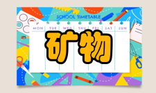 中国矿物加工工程院士