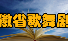 安徽省歌舞剧院承办活动