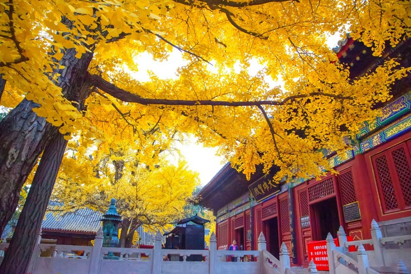 北京市怀柔区红螺寺