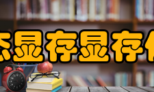 动态显存显存优化