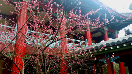 南京师范大学外国语学院办学成果