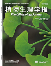 《分子植物》简介