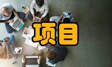 项目风险管理工具和方法