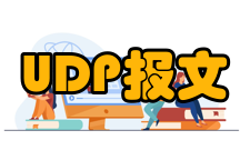 UDP报文格式