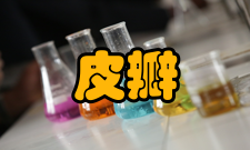 皮瓣移植疼痛护理