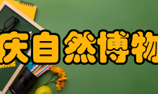 重庆自然博物馆所获荣誉