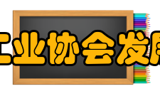中国电石工业协会