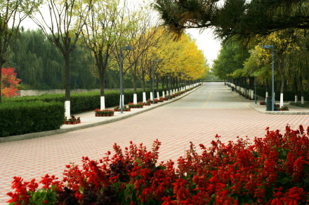 北京汇佳职业学院