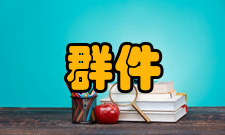 群件对Internet的支持