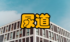 尿道狭窄病史及体检1