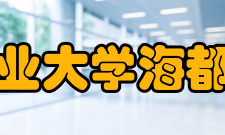 青岛农业大学海都学院所获荣誉2019年