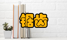 反锯齿多重采样抗锯齿