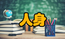 人身安全第二十九条