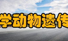 四川农业大学动物遗传育种研究所现任领导