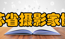 江苏省摄影家协会领导机构