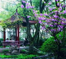 重庆师范大学教学建设