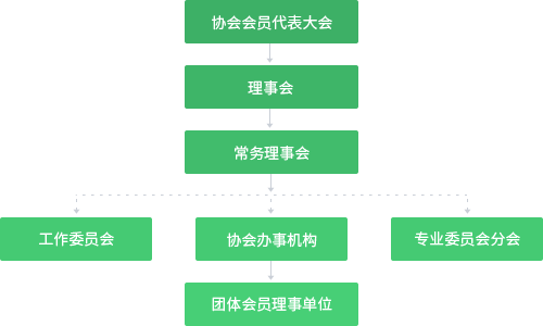 中国青少年科技辅导员协会机构设置