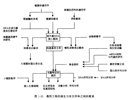 基因工程学科基因工程基因工程（genetic enginee