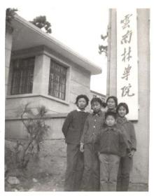 北京林业大学文革十年