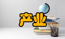 产业经济研究理念保障